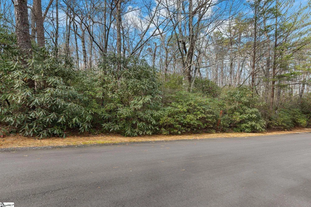 204 Conifer Falls Road Cleveland, SC 29635