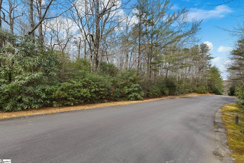 204 Conifer Falls Road Cleveland, SC 29635