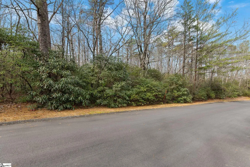 204 Conifer Falls Road Cleveland, SC 29635