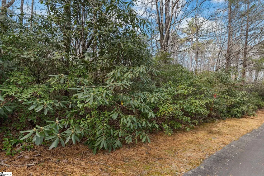 204 Conifer Falls Road Cleveland, SC 29635