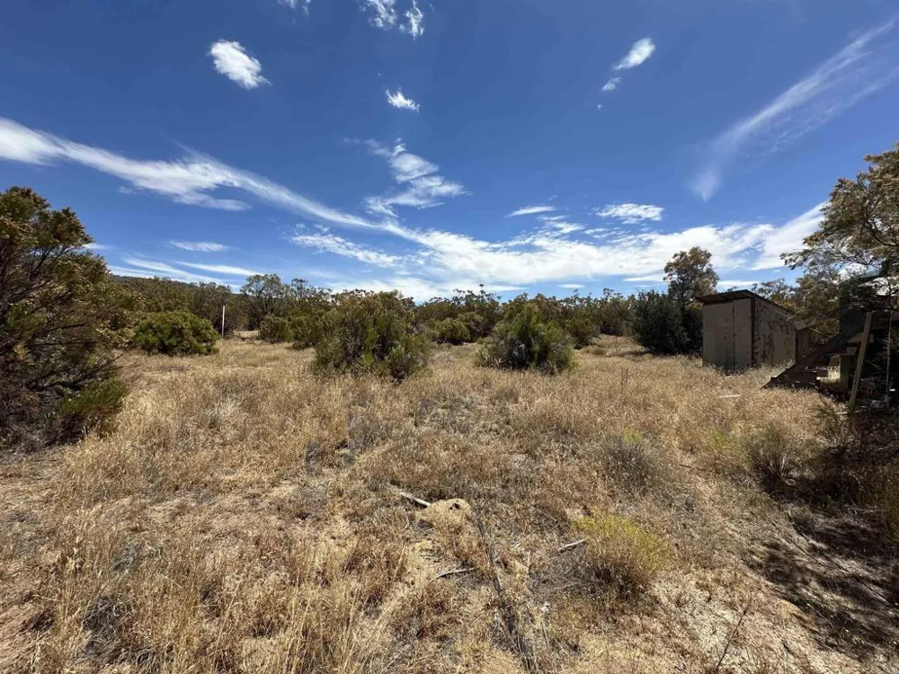 54174 Mdw Vly Lane Anza, CA 92539
