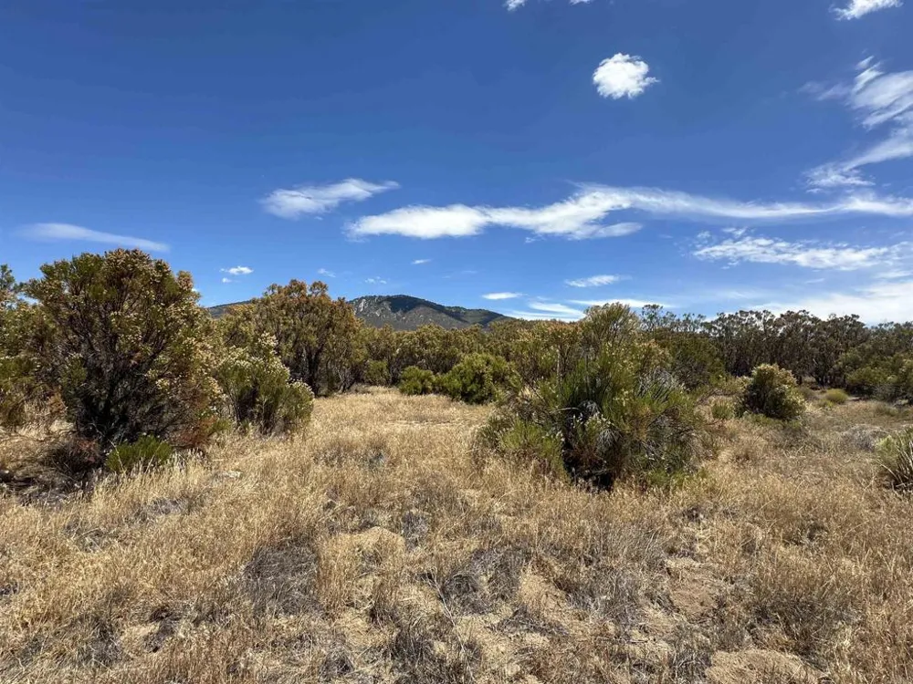 54174 Mdw Vly Lane Anza, CA 92539