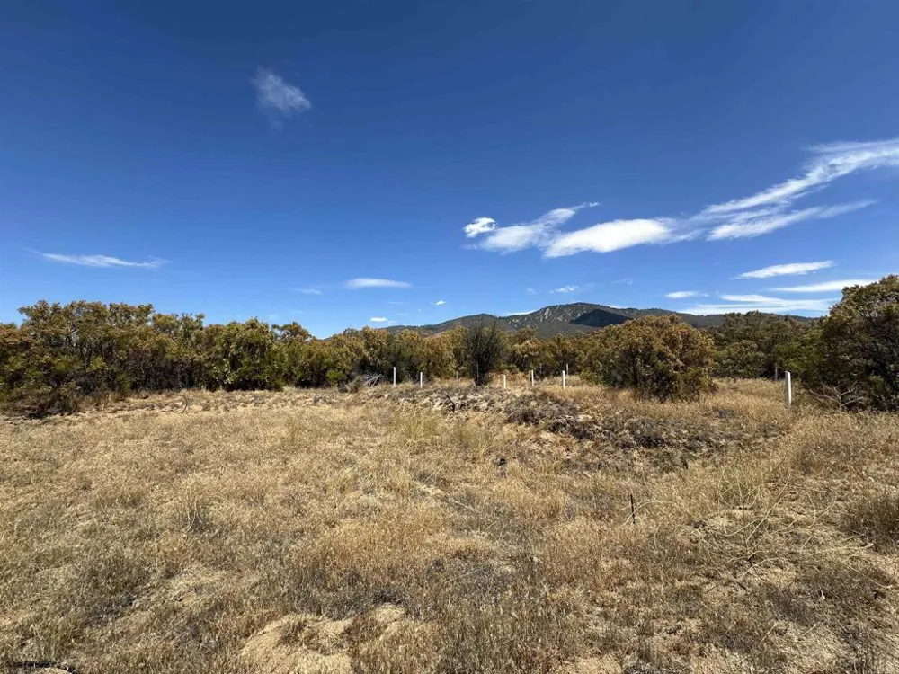54174 Mdw Vly Lane Anza, CA 92539