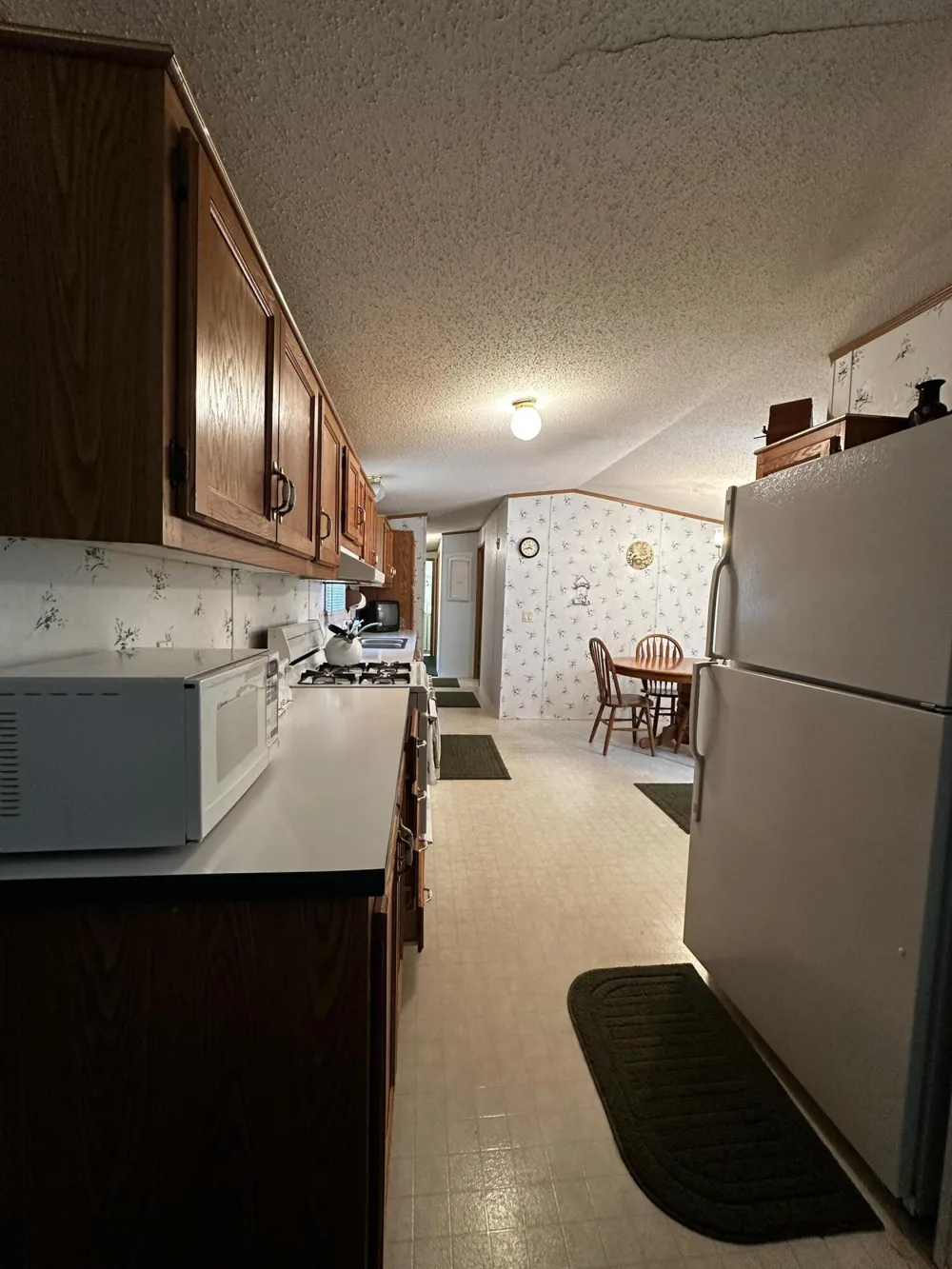 1627 W Delong Drive Baldwin, MI 49304