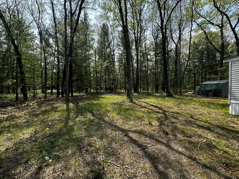 1627 W Delong Drive Baldwin, MI 49304
