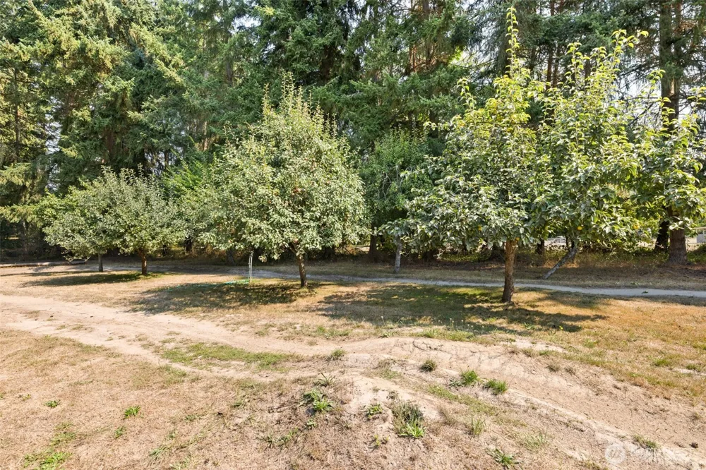 533 Hulse Road Port Angeles, WA 98362