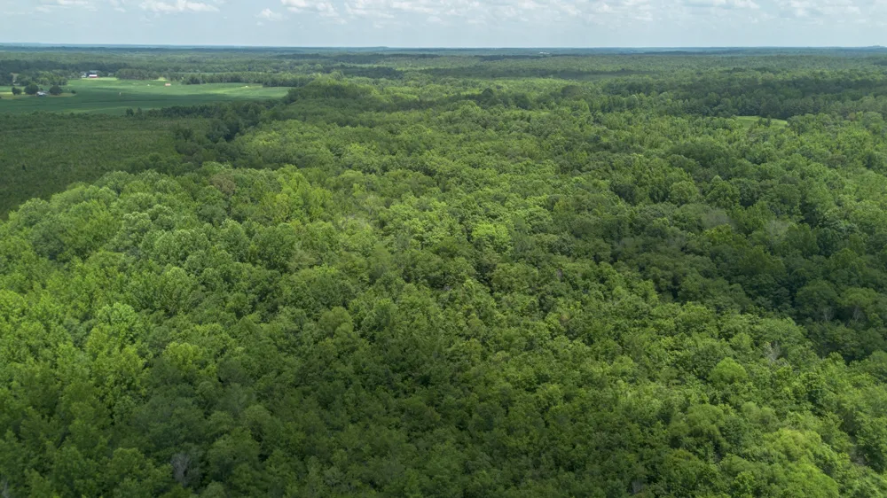 0 Smith Rd Finger, TN 38334