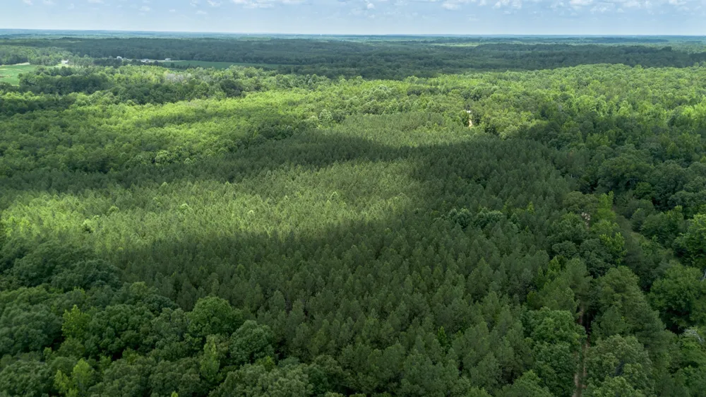 0 Smith Rd Finger, TN 38334