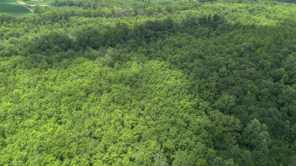 0 Smith Rd Finger, TN 38334