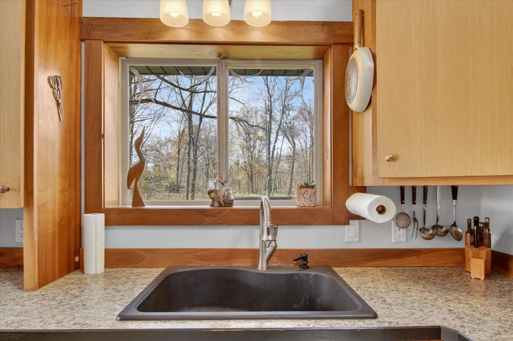 17099 Sierra Drive Colfax Township, MI 49307