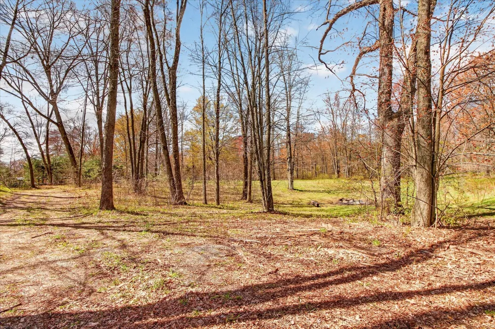 17099 Sierra Drive Colfax Township, MI 49307