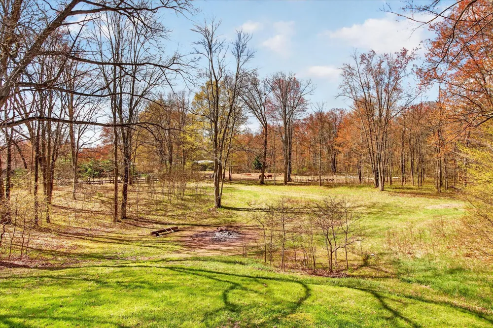 17099 Sierra Drive Colfax Township, MI 49307
