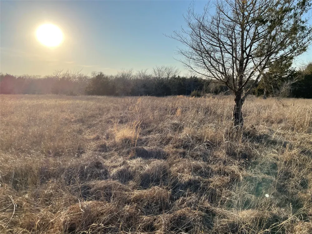 Farm to Market 2737 Lone Oak, TX 75453