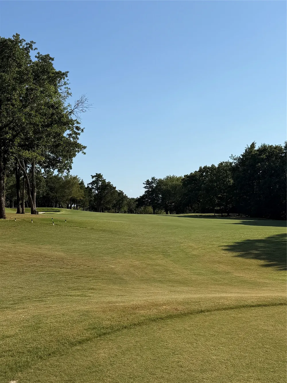 174 Barrington Circle Gordonville, TX 76245