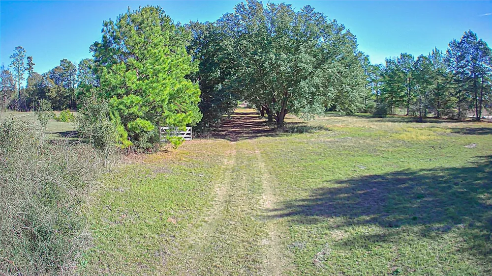 2764 Richardson Road E Livingston, TX 77351