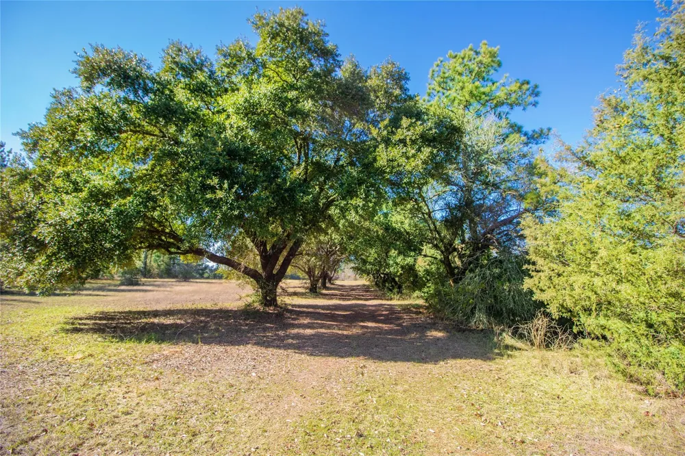 2764 Richardson Road E Livingston, TX 77351