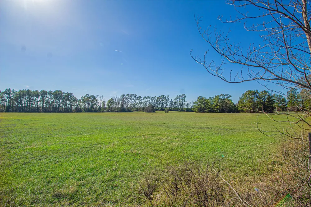 2764 Richardson Road E Livingston, TX 77351