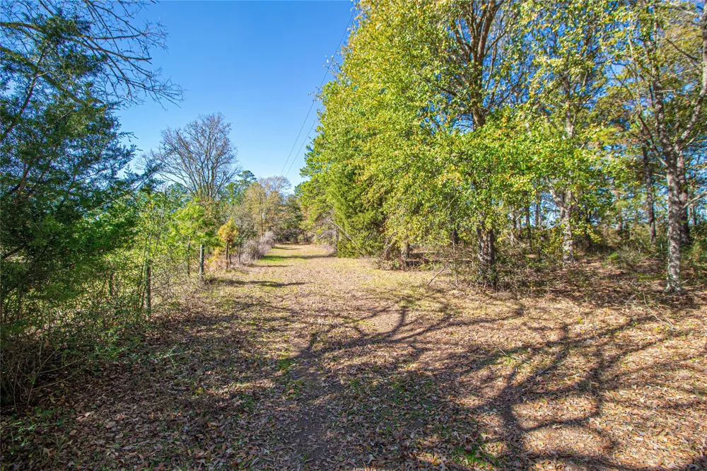 2764 Richardson Road E Livingston, TX 77351