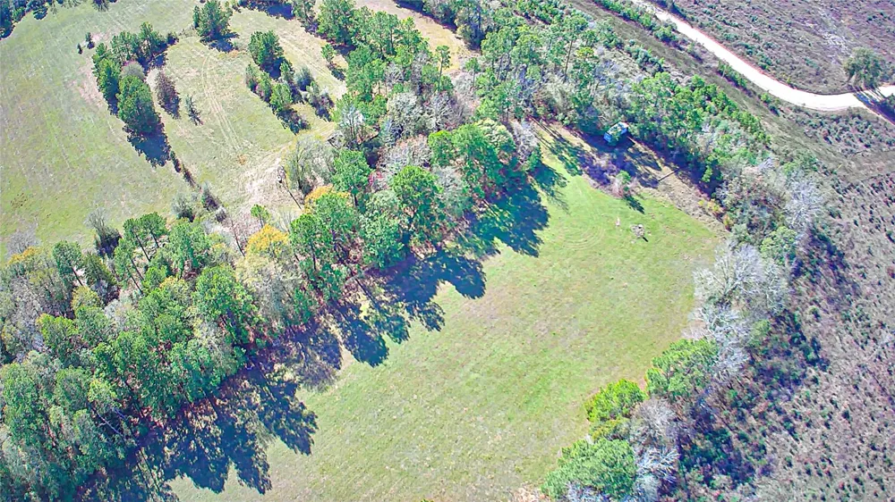 2764 Richardson Road E Livingston, TX 77351