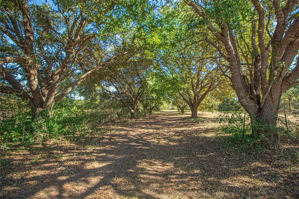 2764 Richardson Road E Livingston, TX 77351