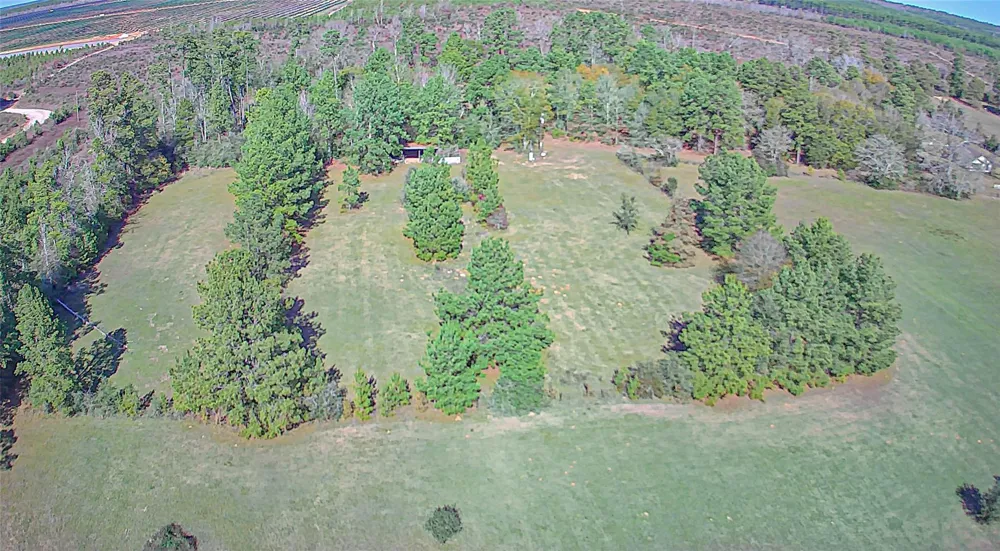 2764 Richardson Road E Livingston, TX 77351