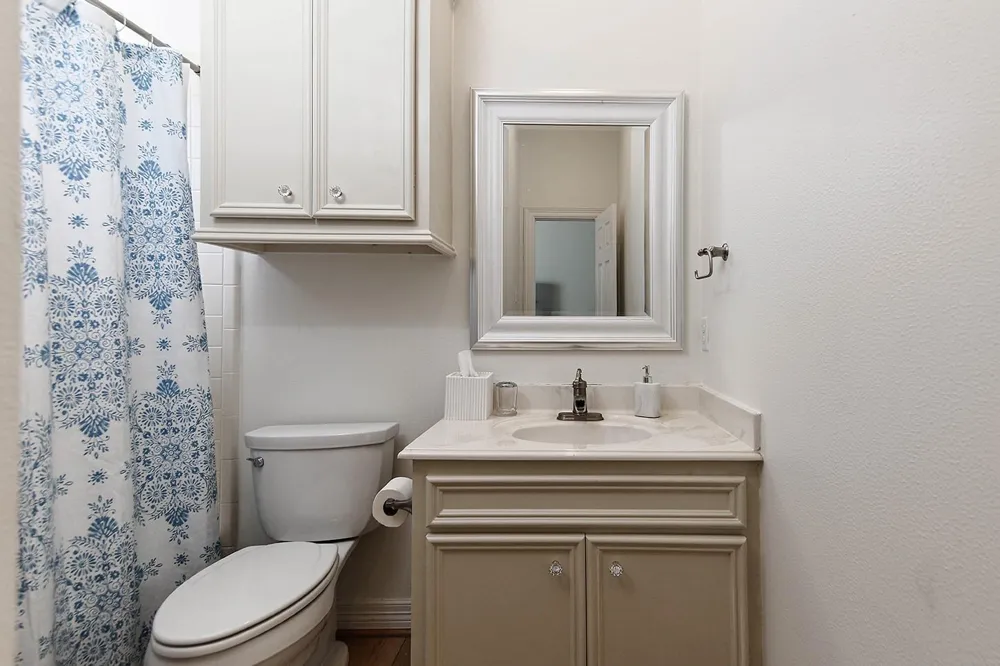 27 Acorn Cluster Court The Woodlands, TX 77381
