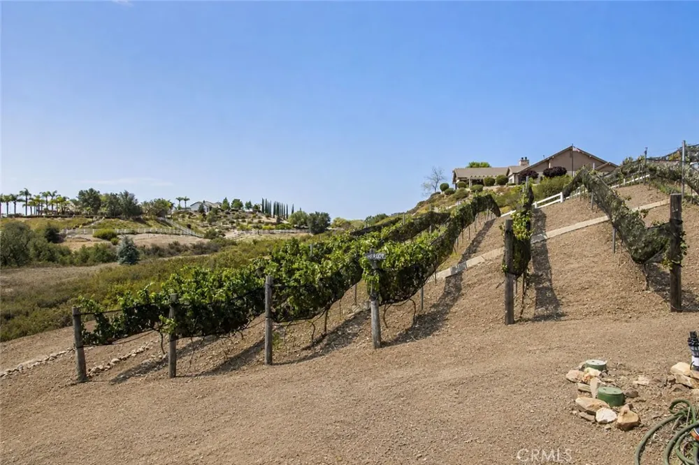 40190 Sierra De Ronda Murrieta, CA 92562