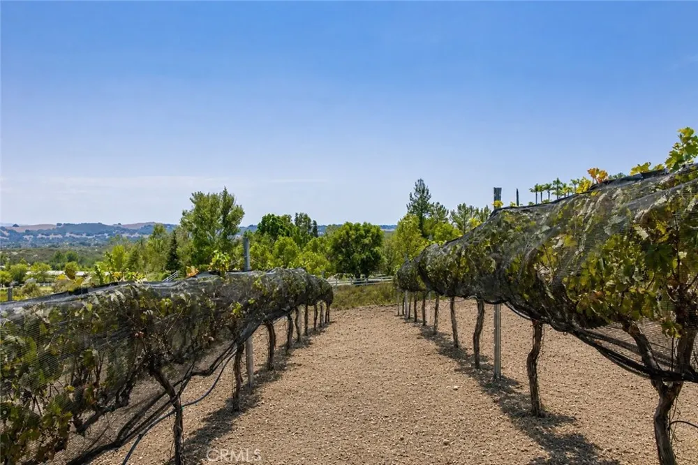 40190 Sierra De Ronda Murrieta, CA 92562