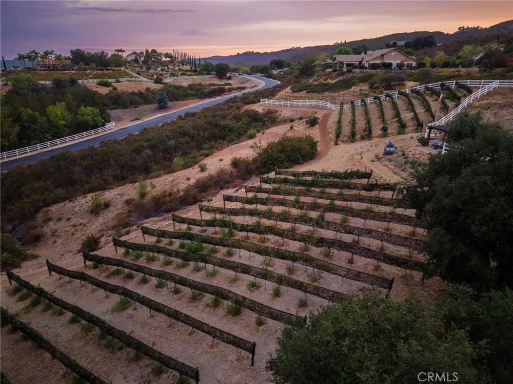 40190 Sierra De Ronda Murrieta, CA 92562