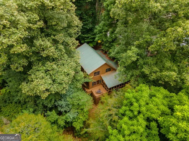 110 Novena CT Ellijay, GA 30540