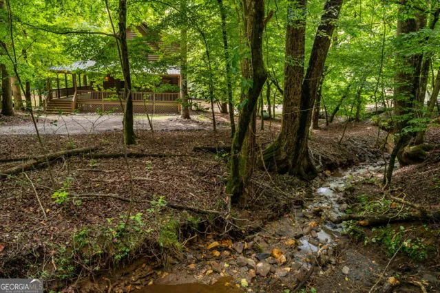 110 Novena CT Ellijay, GA 30540