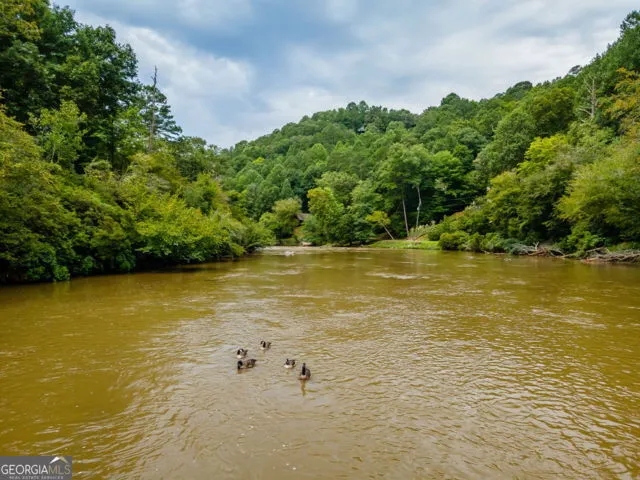 110 Novena CT Ellijay, GA 30540