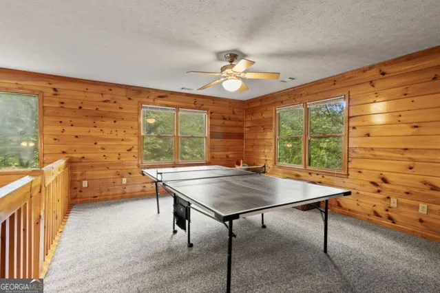 110 Novena CT Ellijay, GA 30540