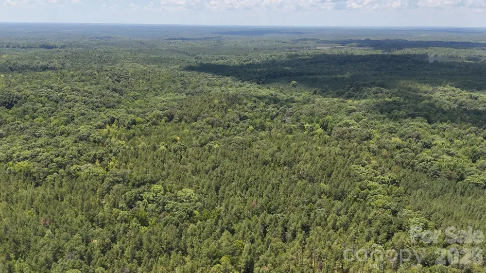 15+/- AC Lot 2 Parson Road McConnells, SC 29726
