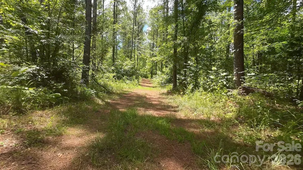 15+/- AC Lot 2 Parson Road McConnells, SC 29726