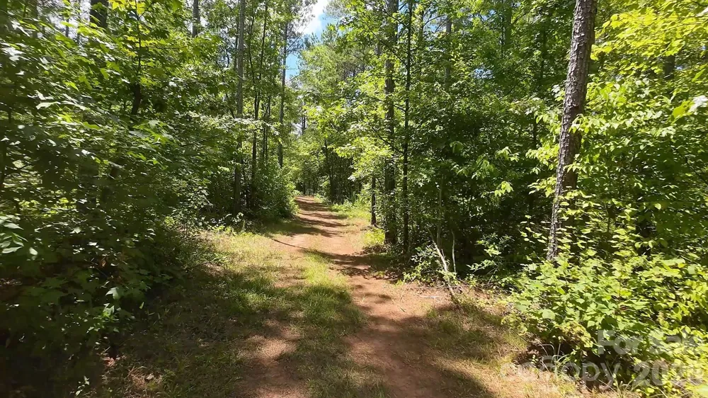 15+/- AC Lot 2 Parson Road McConnells, SC 29726