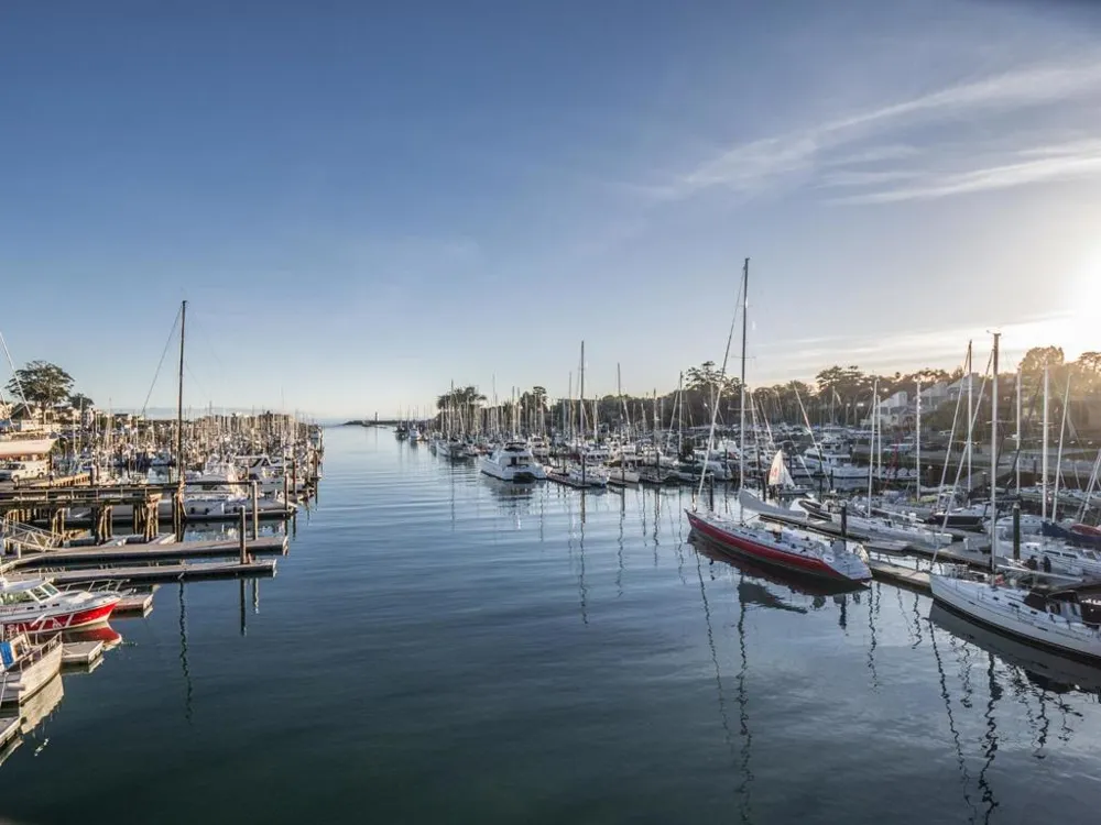 708 Frederick Street #202 Santa Cruz, CA 95062