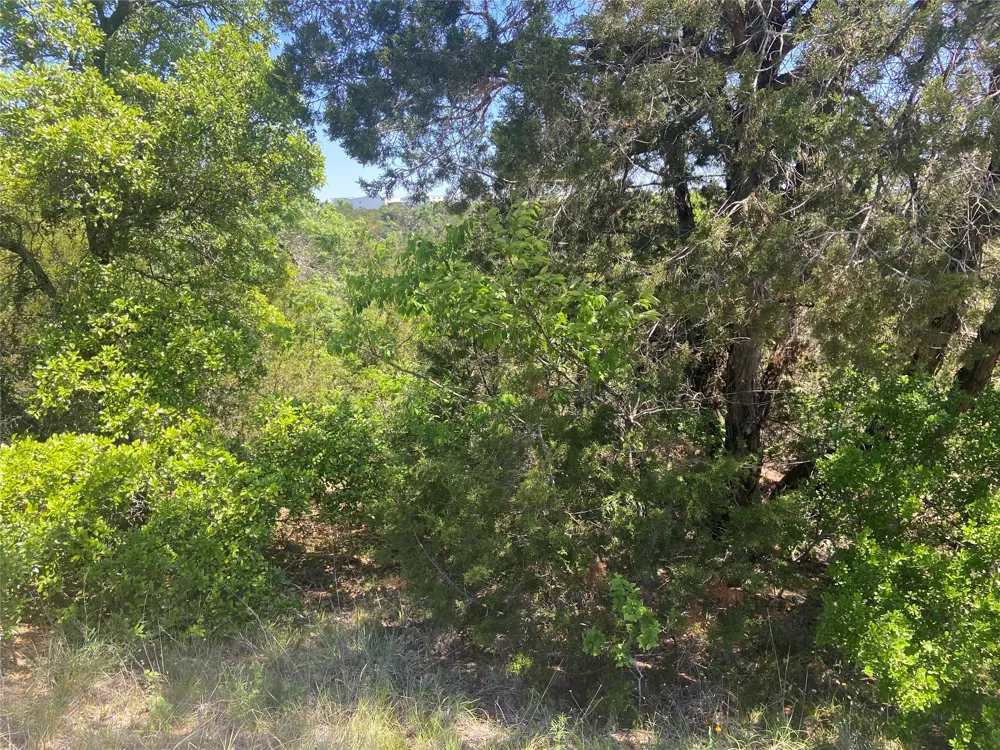 8617 Bar-K Ranch Road Lago Vista, TX 78645