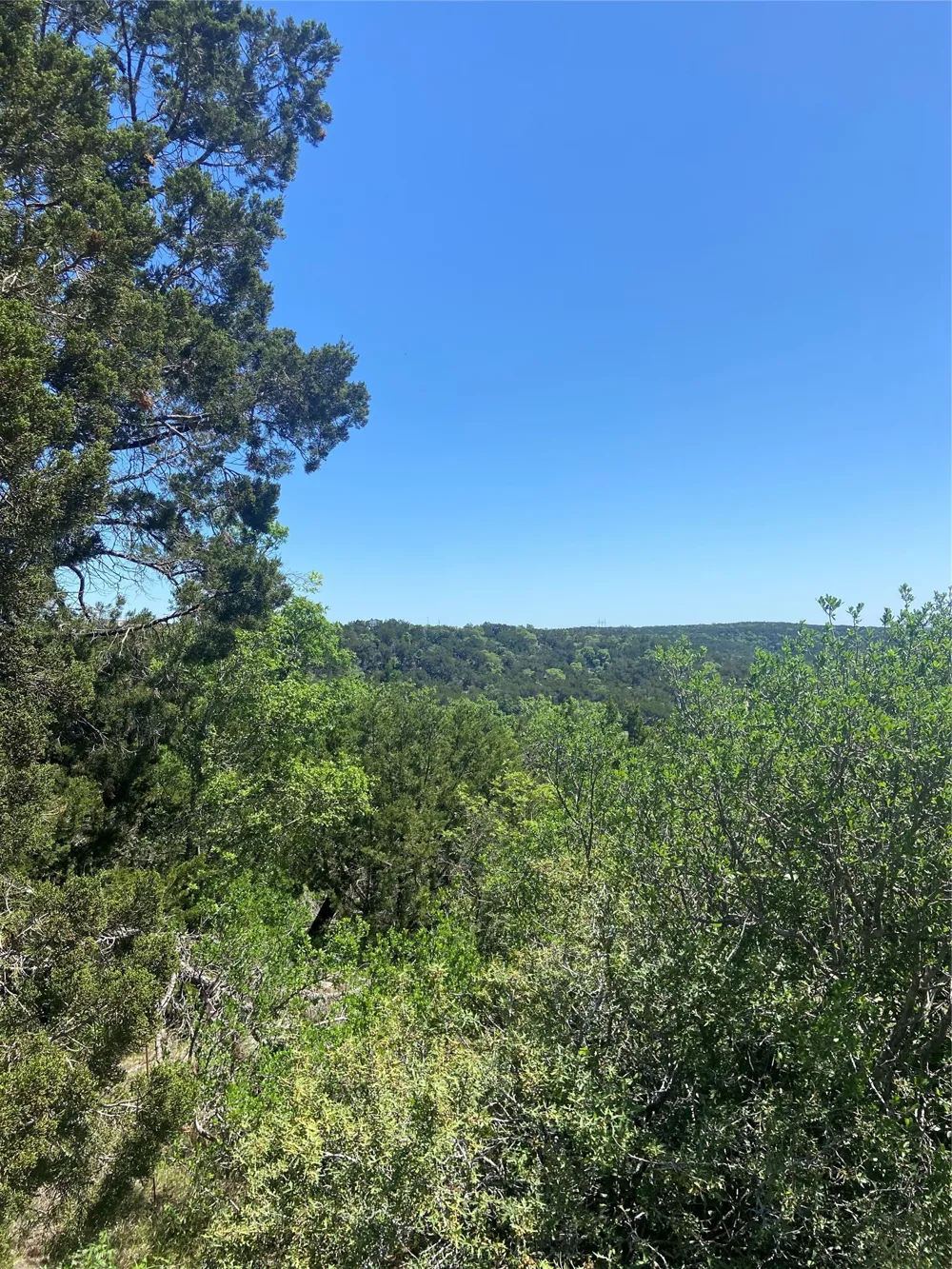 8617 Bar-K Ranch Road Lago Vista, TX 78645