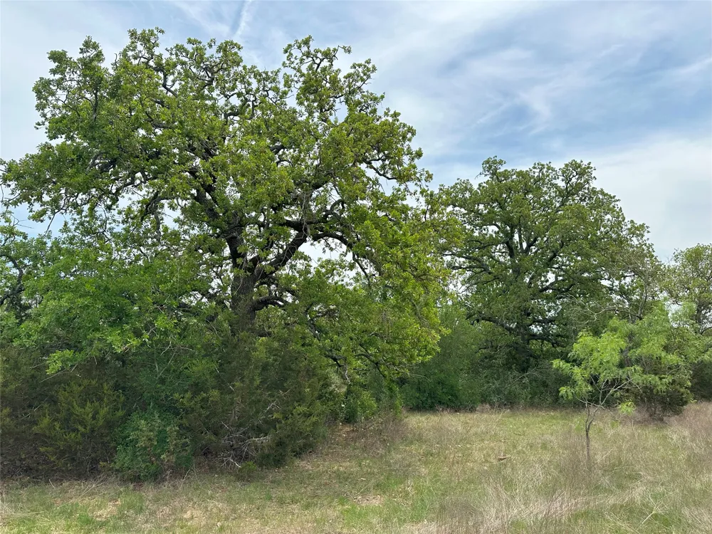 94ac County Road 330 Bertram, TX 78605