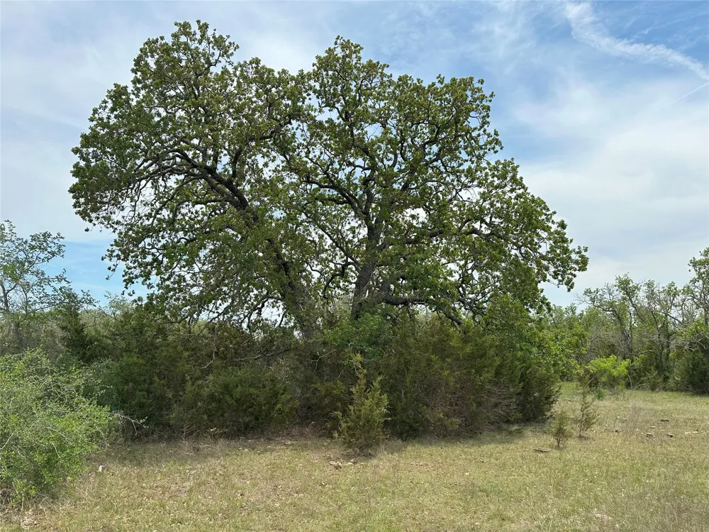 94ac County Road 330 Bertram, TX 78605