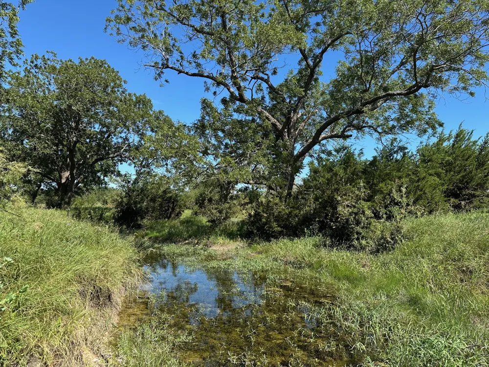 94ac County Road 330 Bertram, TX 78605