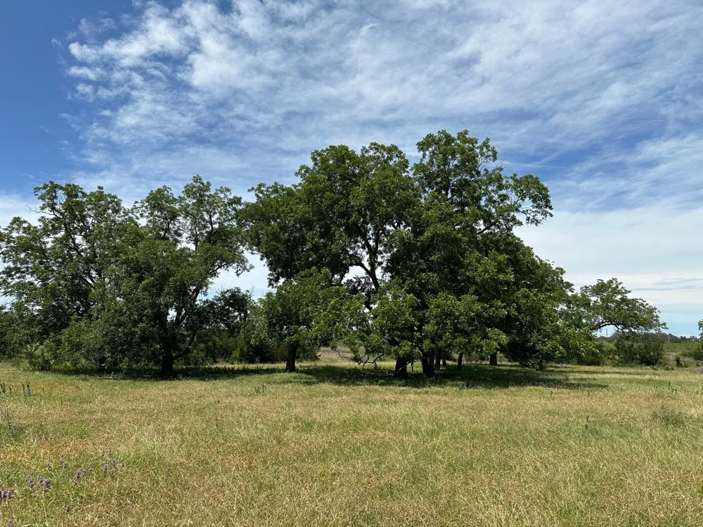 94ac County Road 330 Bertram, TX 78605