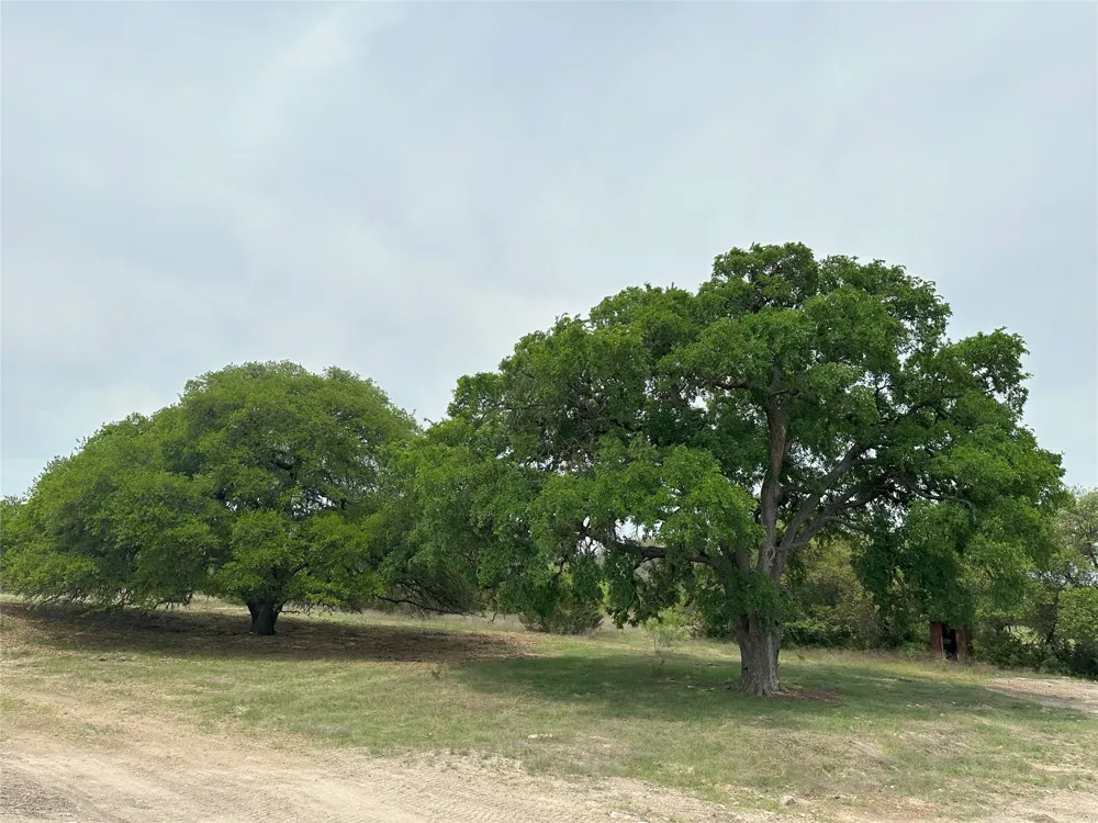 94ac County Road 330 Bertram, TX 78605