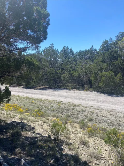20702 Appaloosa Trail