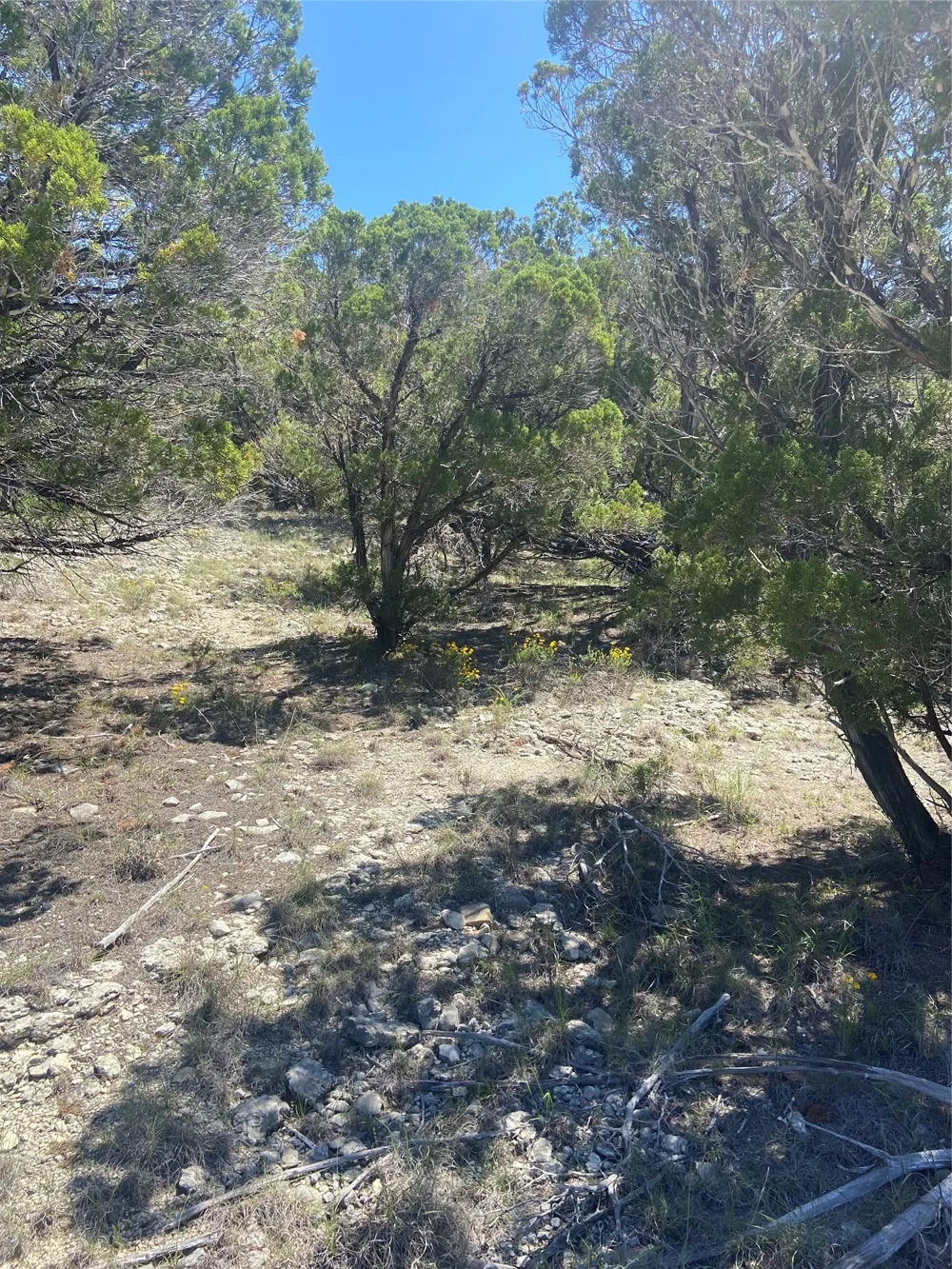 20702 Appaloosa Trail Lago Vista, TX 78645