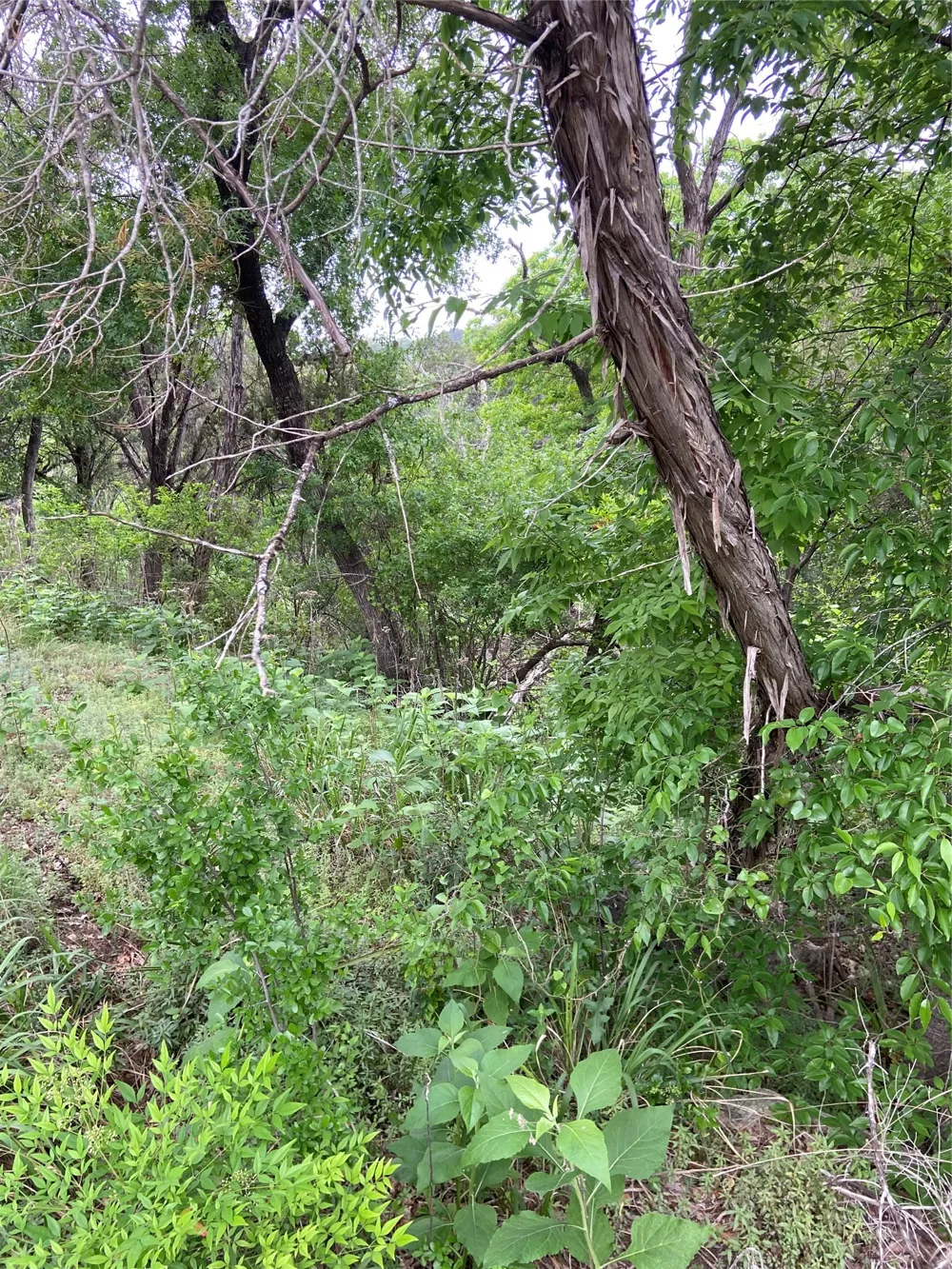 20901 Park Drive Lago Vista, TX 78645