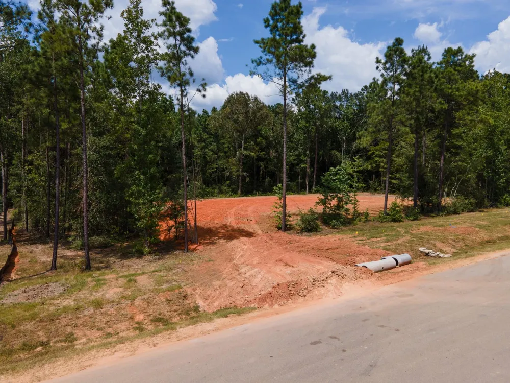 21316 Monarch Drive Montgomery, TX 77316