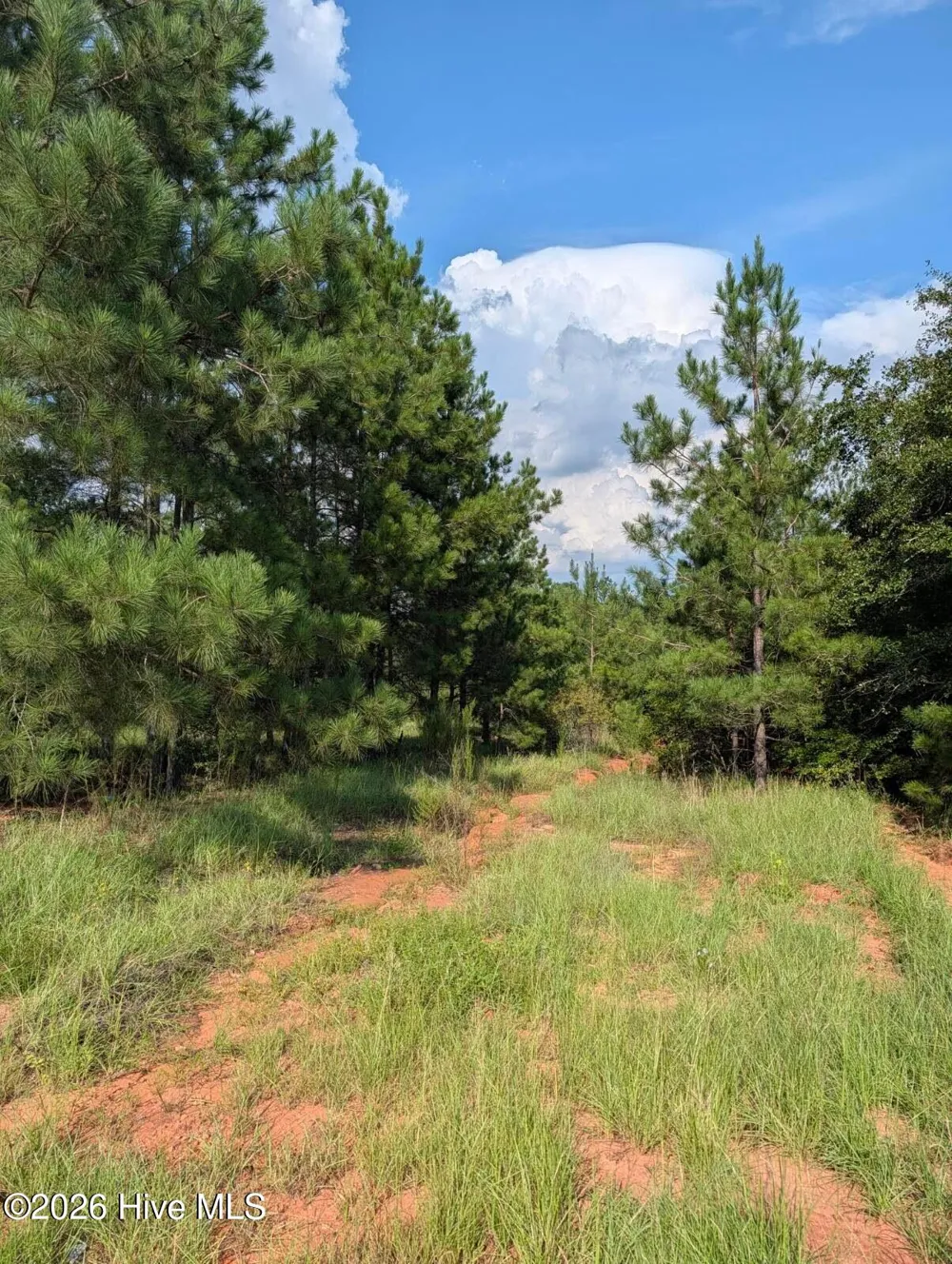 0 Nelson Lane Louisville, GA 30434