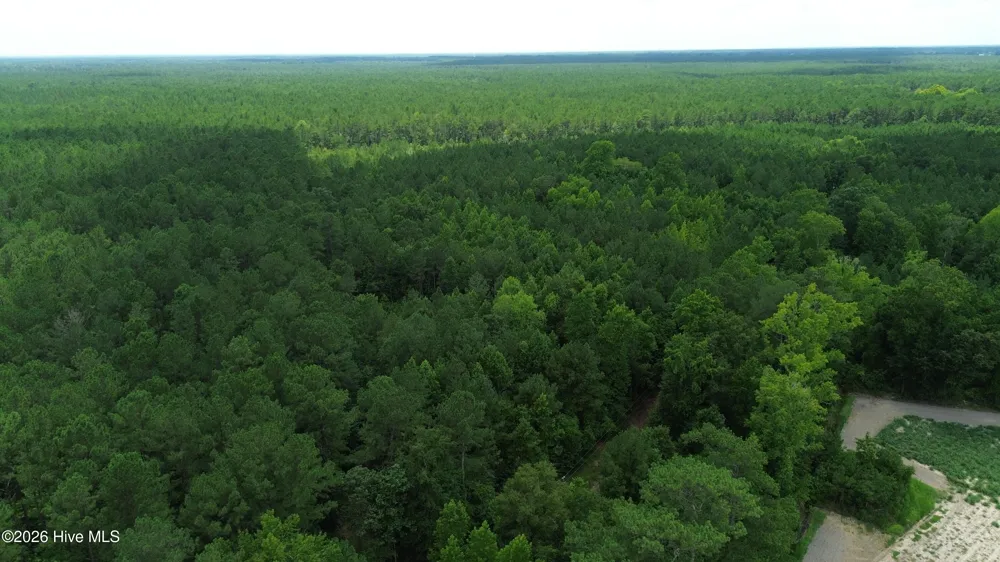 Tbd Point Caswell Road Atkinson, NC 28421